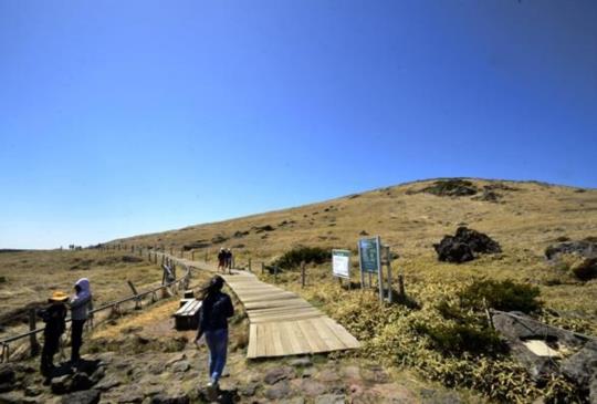 征服韓國第一高峰【濟州島】漢拏山不鐵腿健行路線